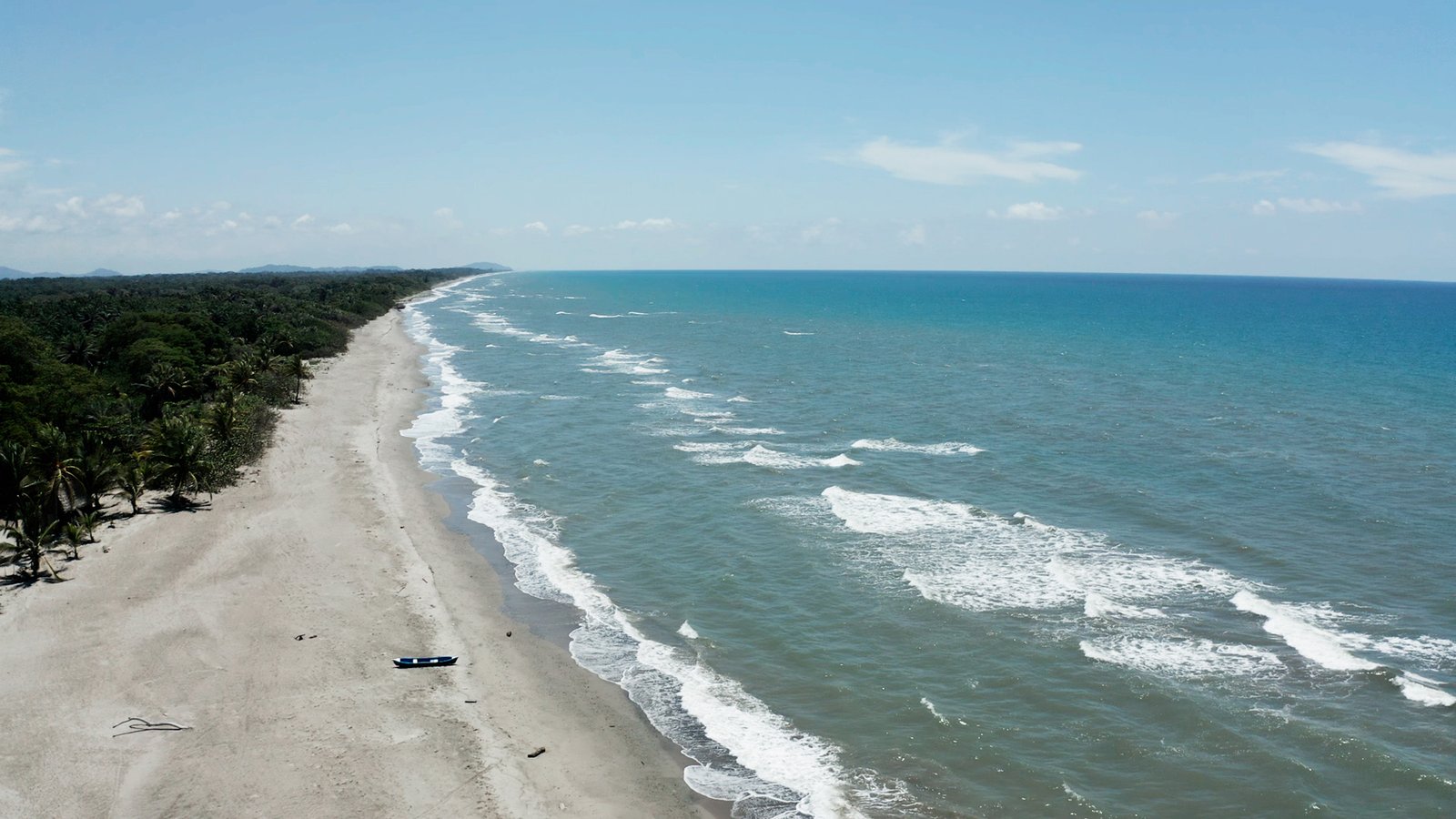 INGRID ARONNE - UICN (3)