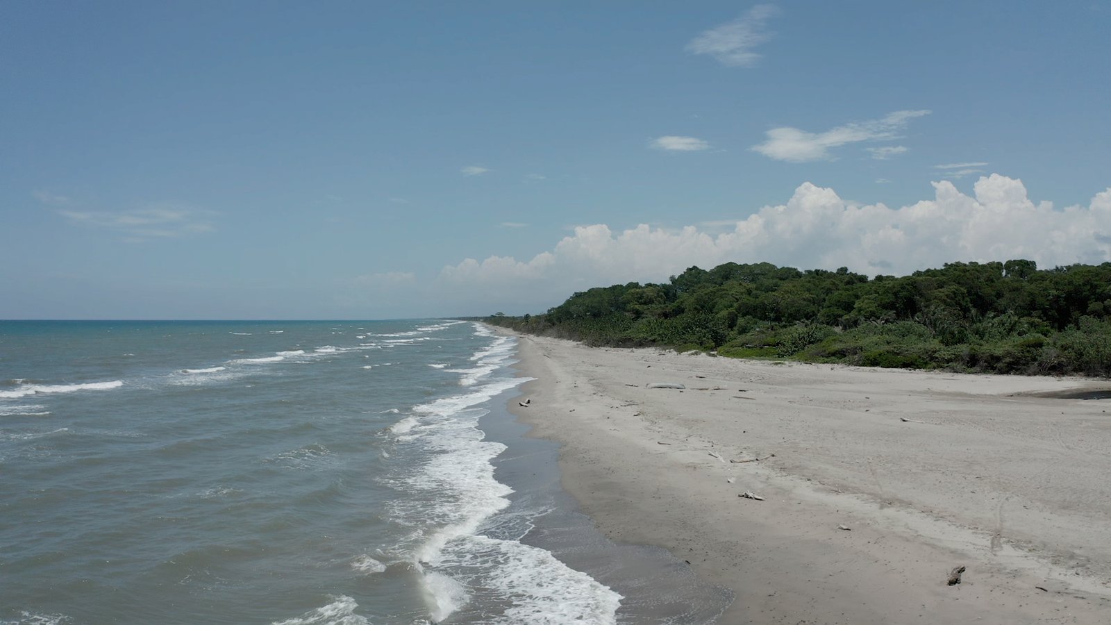 INGRID ARONNE - UICN (4)