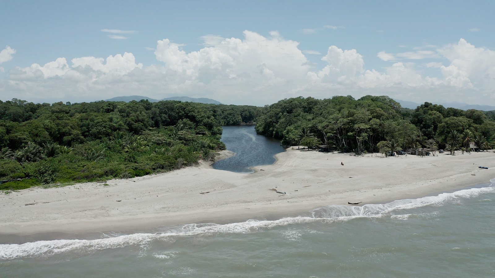 INGRID ARONNE - UICN (7)