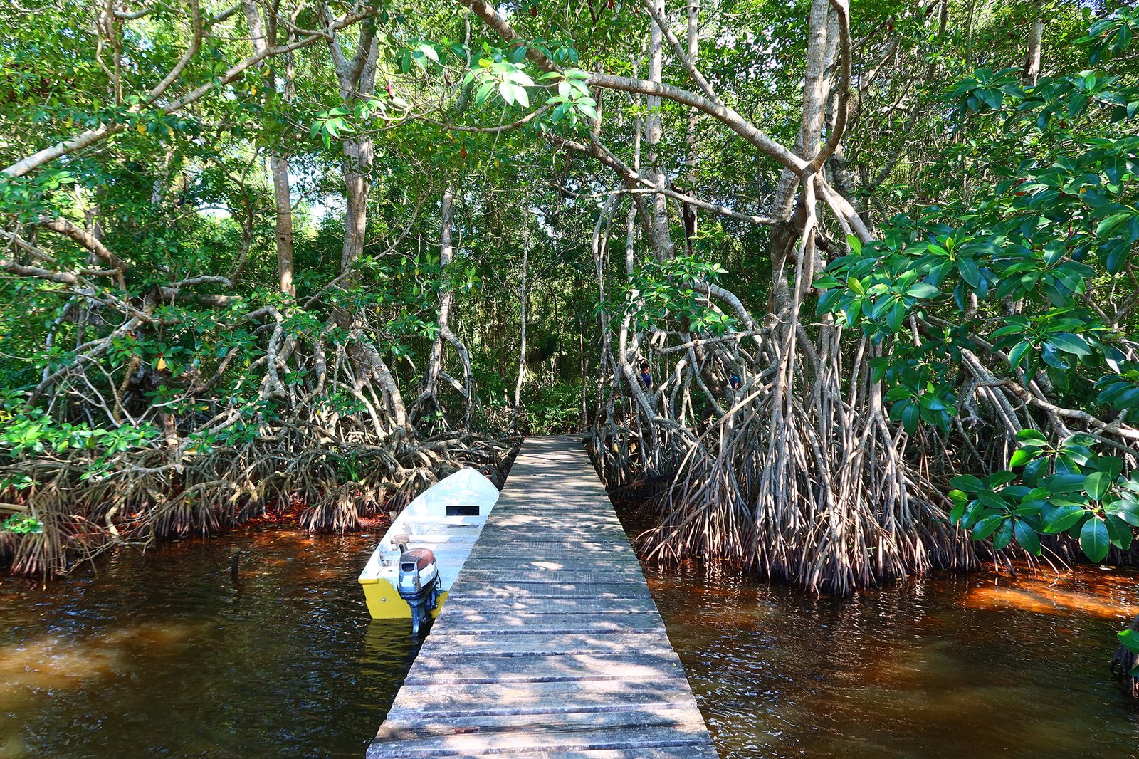 KIMBERLY CARRILLO - UICN (4)