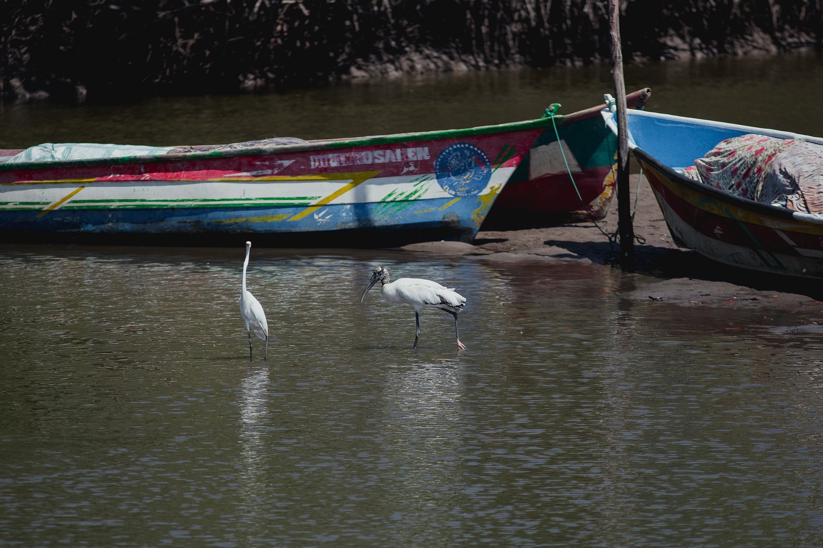 KIMBERLY CARRILLO - UICN1 (2)