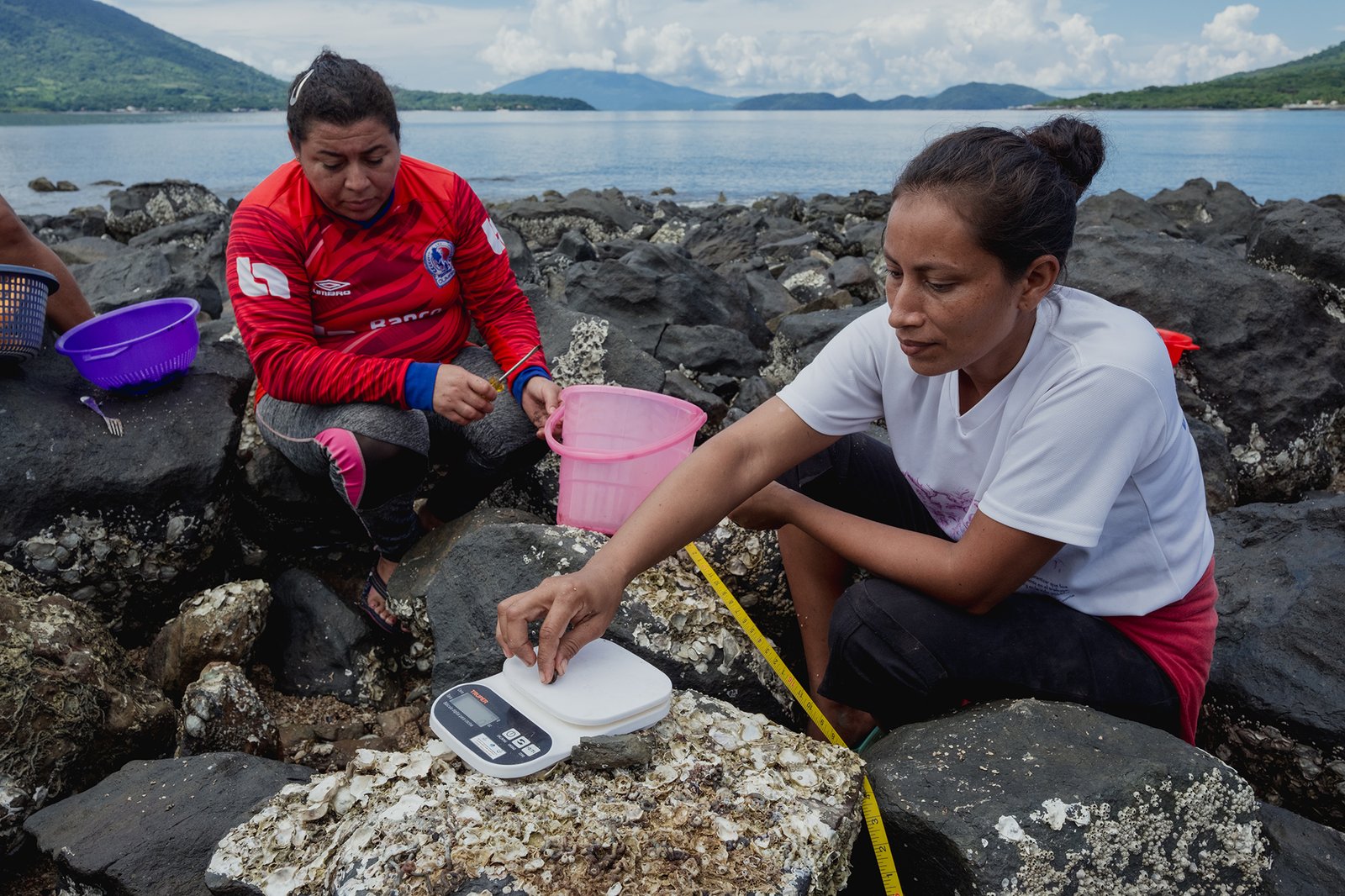 KIMBERLY CARRILLO - UICN134