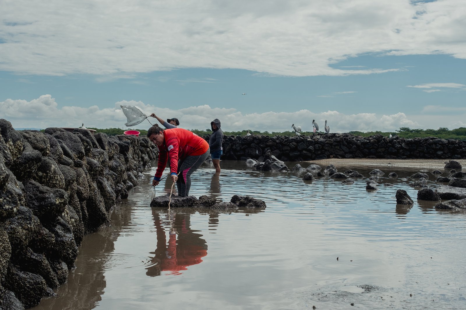 KIMBERLY CARRILLO - UICN23