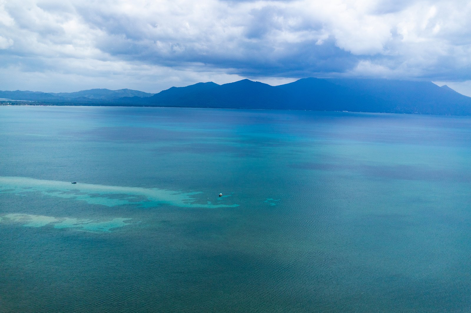 MARTÍN CALIX - UICN