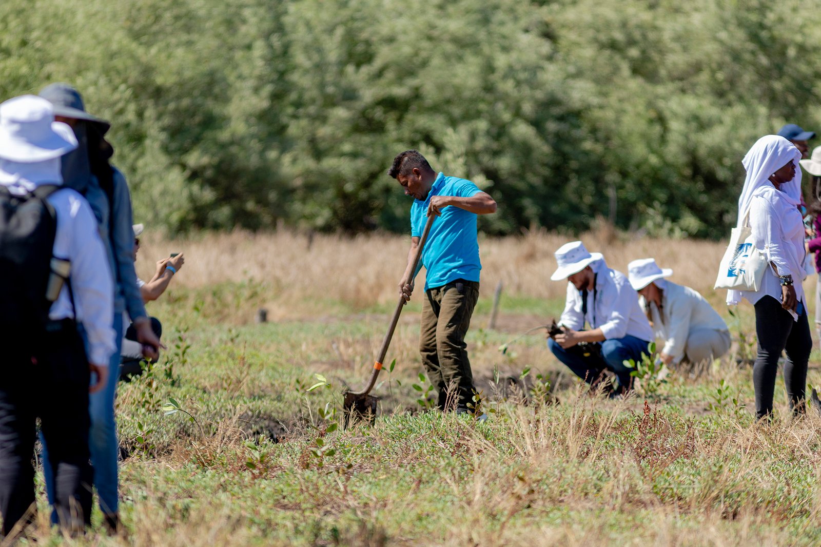 UICN El Jicarito Avistamiento de Aves 20