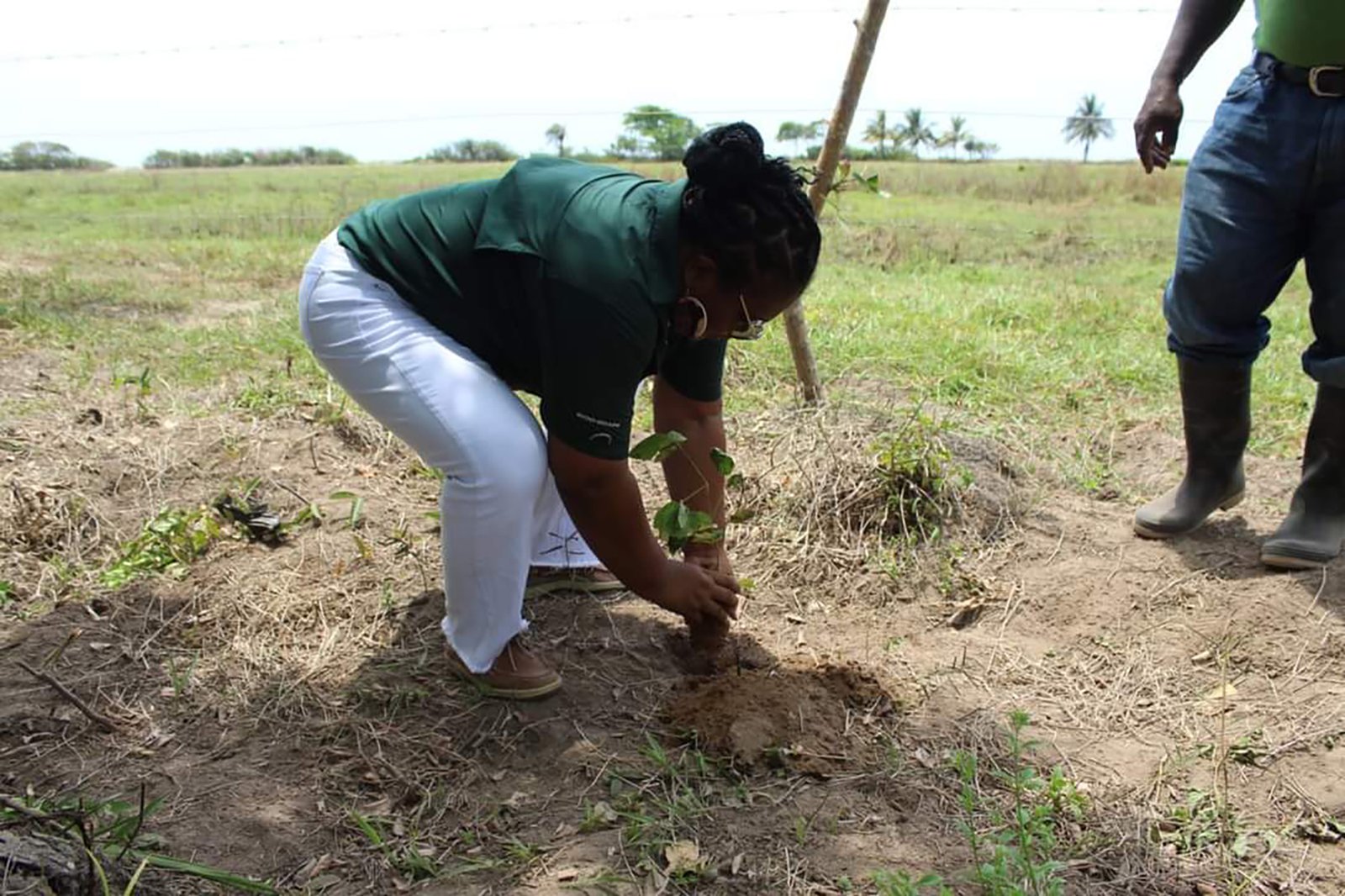 WhatsApp Image 2024-11-18 at 10.41