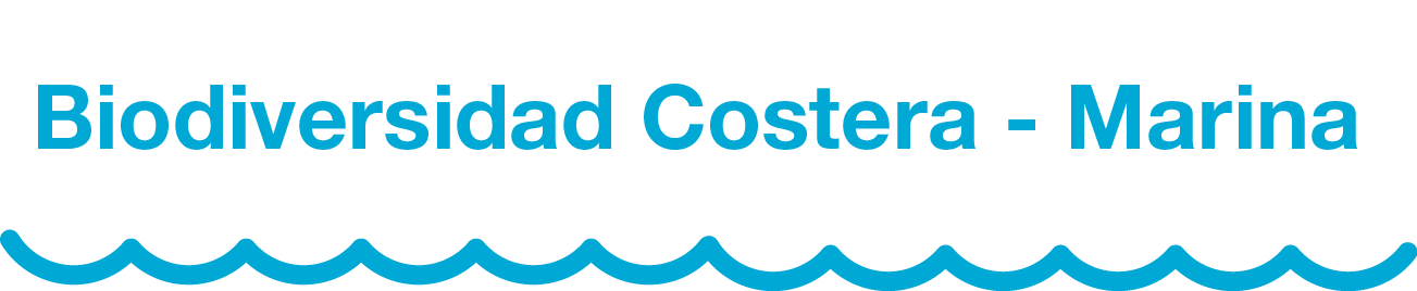 log - blanco - conservando