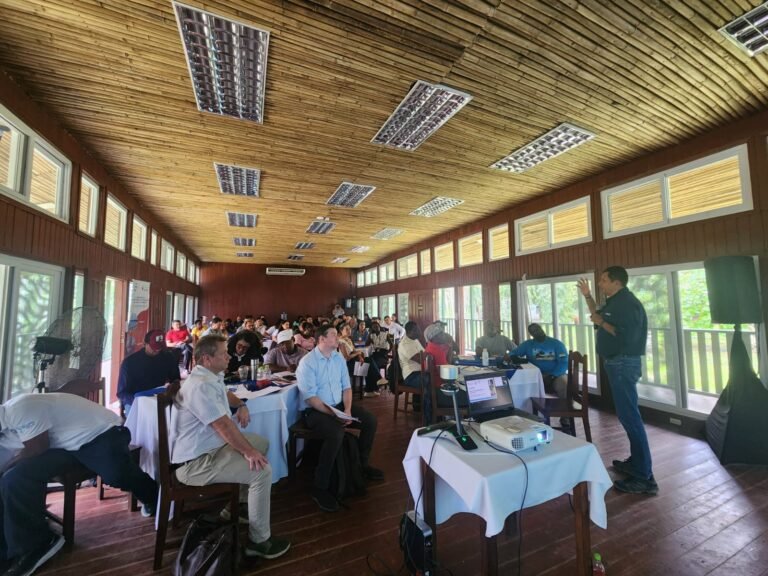 WhatsApp Image 2026-03-19 at 5.24